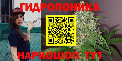 гидропоника Старая Купавна