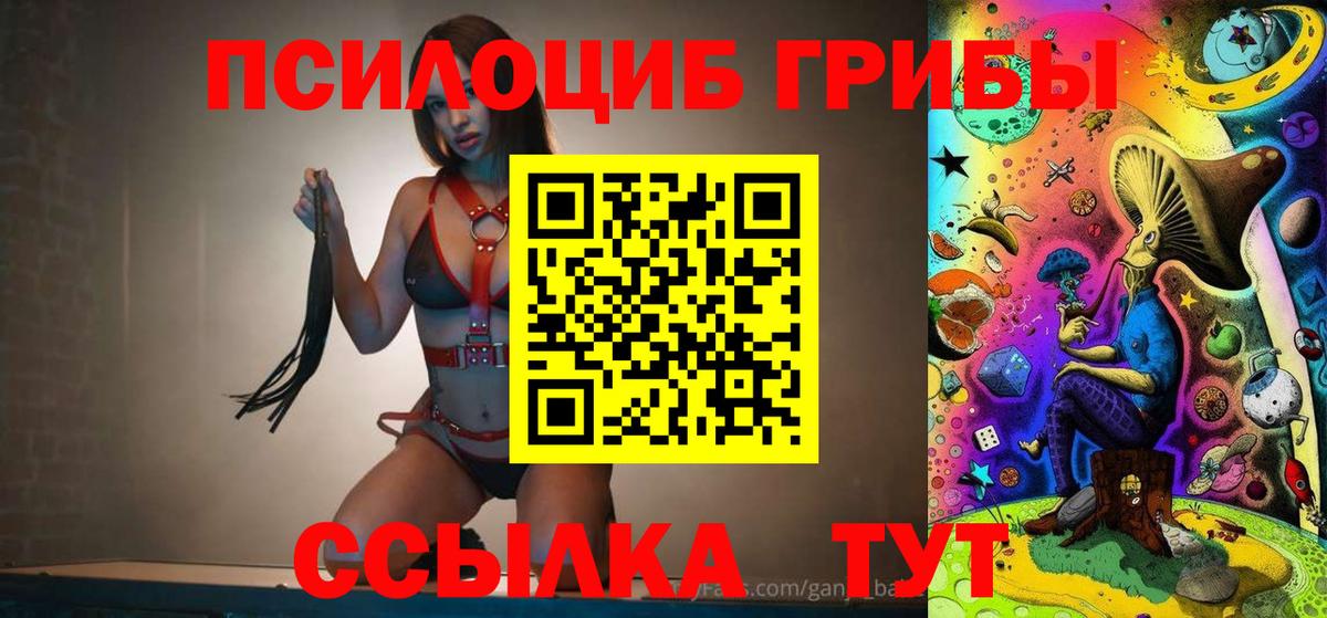 Галлюциногенные грибы мицелий  Вход с VPN  Алексеевка  Псилоцибиновые грибы Psilocybe 